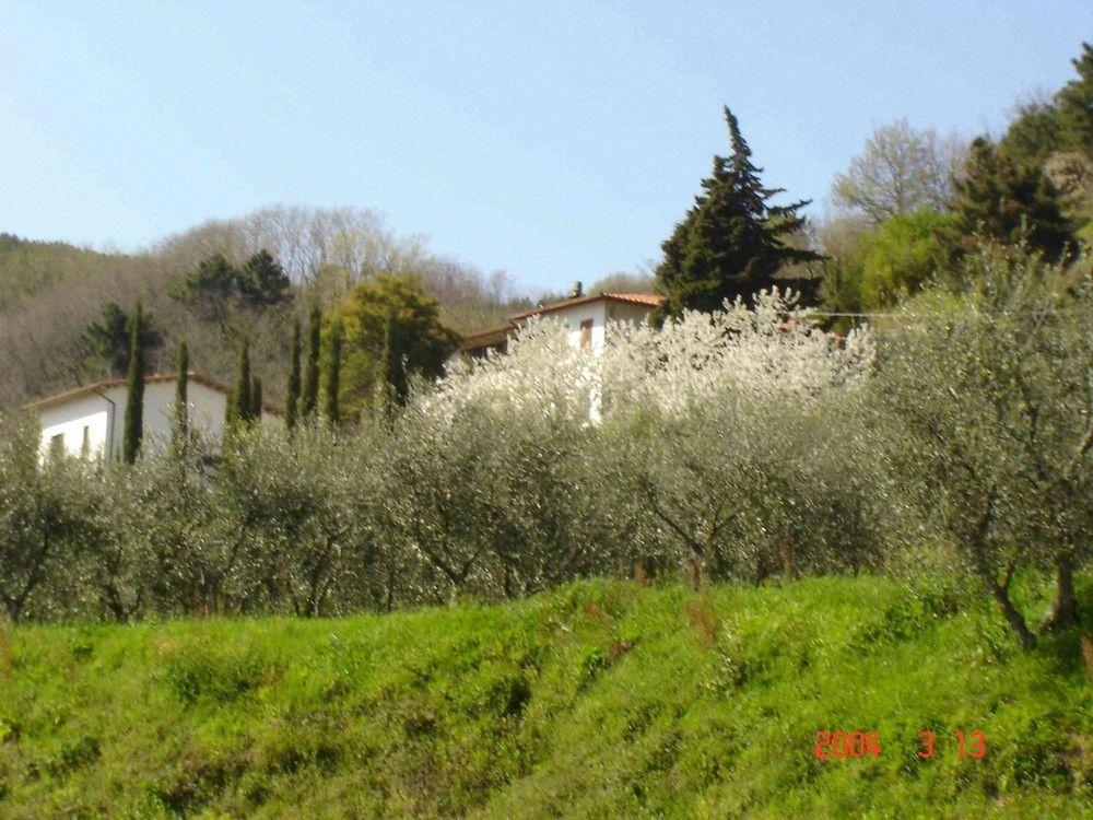 Podere"Sulle Soglie Del Bosco" Appartament And Rooms Pescia Exterior foto